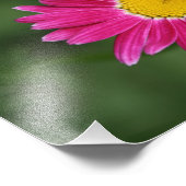 Impression Photo Petite abeille sur marguerite peinte (Coin)