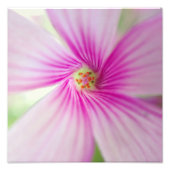 Impression Photo Petite Fleur Rose (Devant)