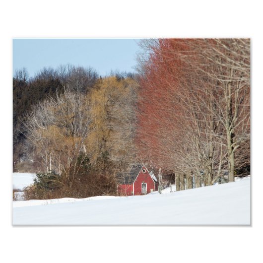 Impression Photo Petite maison rouge (Devant)