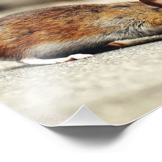 Impression Photo Petite souris (Coin)