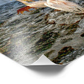 Impression Photo Petros (Coin)