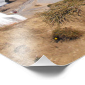 Impression Photo Phare de Castlepoint en Nouvelle-Zélande (Coin)