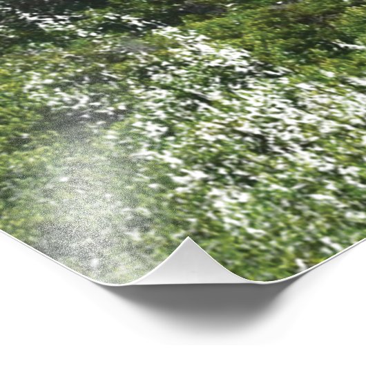 Impression Photo Phare du Cap Agulhas 1849 (Coin)