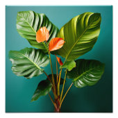 Impression Photo Philodendron et fleurs d'anthurium (Devant)