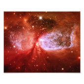 Impression Photo Phoenix (Devant)