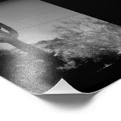 Impression Photo Phoenix Cactus (Coin)