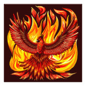 Impression Photo Phoenix mythologique immortelle Créature (Devant)