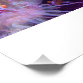 Impression Photo Photograph #Y008 on LARGE Photograph (Coin)