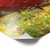 Impression Photo Photos d'automne | Photos de Automne (Coin)