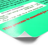 Impression Photo Photosynthèse (Coin)