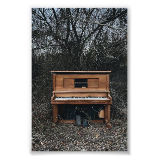 Impression Photo Piano gentil (Devant)