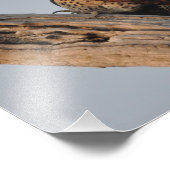 Impression Photo Pic de Flicker du Nord (Coin)