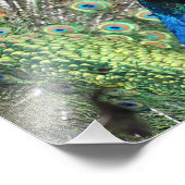 Impression Photo Pic de plusieurs couleurs (Coin)