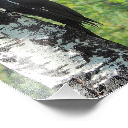 Impression Photo Pic pilé (Coin)