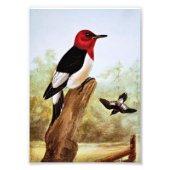 Impression Photo Pic Rouge (Devant)