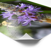 Impression Photo Pickerelweed et Bumblebee (Coin)