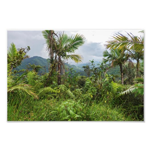 Impression Photo Pics et vallées d'el yunque (Devant)