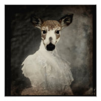 Piebald Deer En Robe