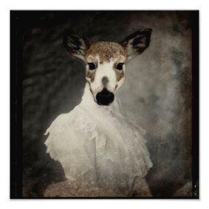 Impression Photo Piebald Deer En Robe