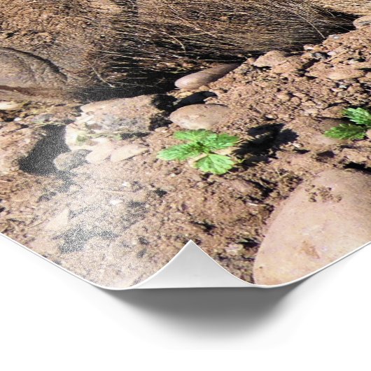 IMPRESSION PHOTO PIÈCES (Coin)