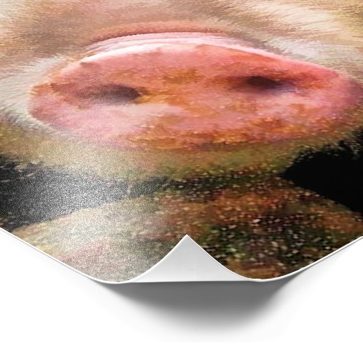 IMPRESSION PHOTO PIÈCES (Coin)