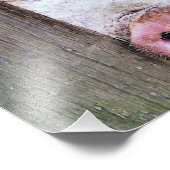 IMPRESSION PHOTO PIÈCES (Coin)