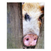 IMPRESSION PHOTO PIÈCES (Devant)