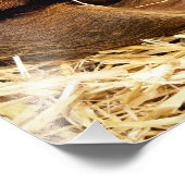 IMPRESSION PHOTO PIÈCES (Coin)