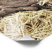 IMPRESSION PHOTO PIÈCES FRAÎCHES (Coin)