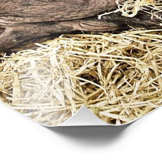 IMPRESSION PHOTO PIÈCES FRAÎCHES (Coin)