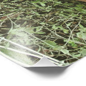 Impression Photo Pieds nus (Coin)