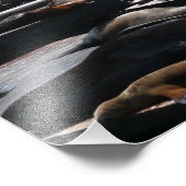 Impression Photo Pier 39 Sea Lions (Coin)