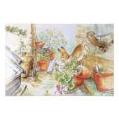 Impression Photo Pierre le lapin culbutant dans la cabane de jardin (Devant)