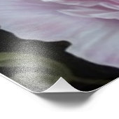 Impression Photo Pies roses (Coin)