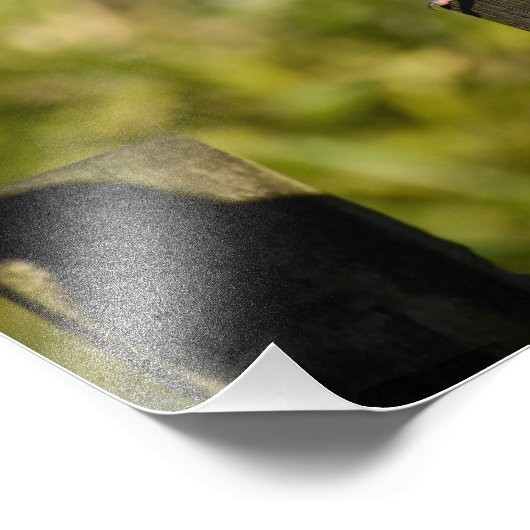 Impression Photo Pigeon (Coin)