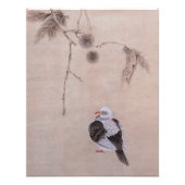Impression Photo Pigeon (Devant)