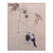 Impression Photo Pigeon (Devant)