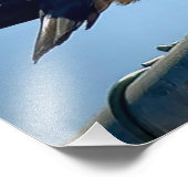 Impression Photo Pigeon (Coin)