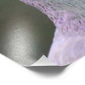 Impression Photo Pigeon (Coin)