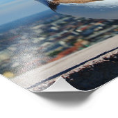 Impression Photo Pigeon à Budapest (Coin)