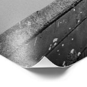 Impression Photo Pigeon solitaire sur le toit (Coin)