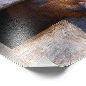 Impression Photo Piggies d'observation de la paire de stylo (Coin)