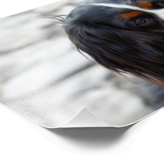 Impression Photo pile 2 (Coin)