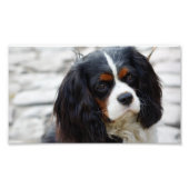 Impression Photo pile 2 (Devant)