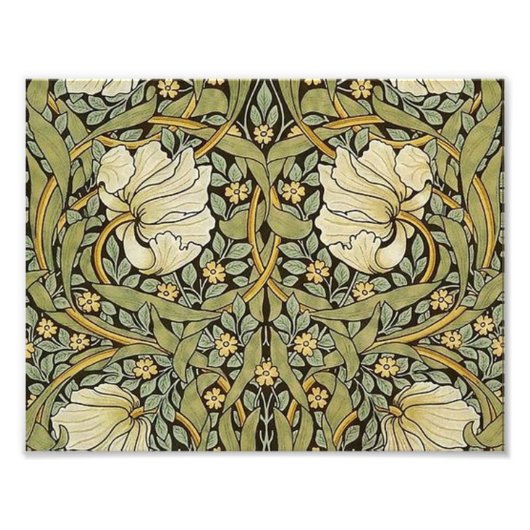 Impression Photo Pimpernel William Morris (Devant)