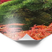 Impression Photo Pin noir et érable japonais rouge (Coin)