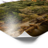 Impression Photo Pin sauvage - Crique (Coin)