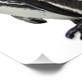 Impression Photo Pingouin (Coin)