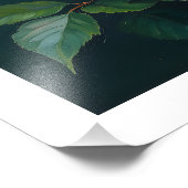 Impression Photo Pink Peonies Artwork on Emerald Green (Coin)