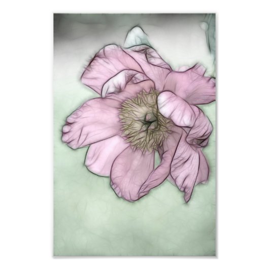 Impression Photo Pink Peony Flower Sketch (Devant)